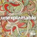 Unexplainable, Vox
